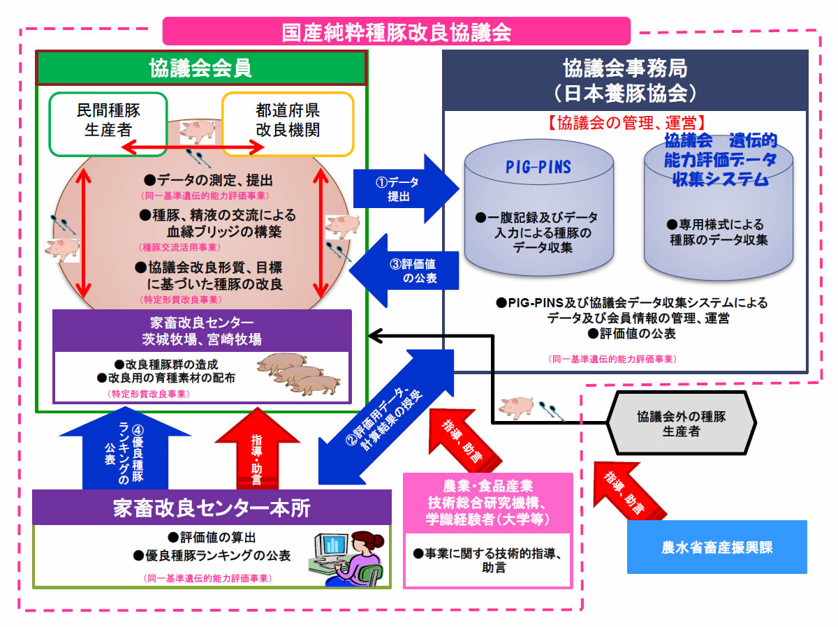 協議会事業全体のイメージ